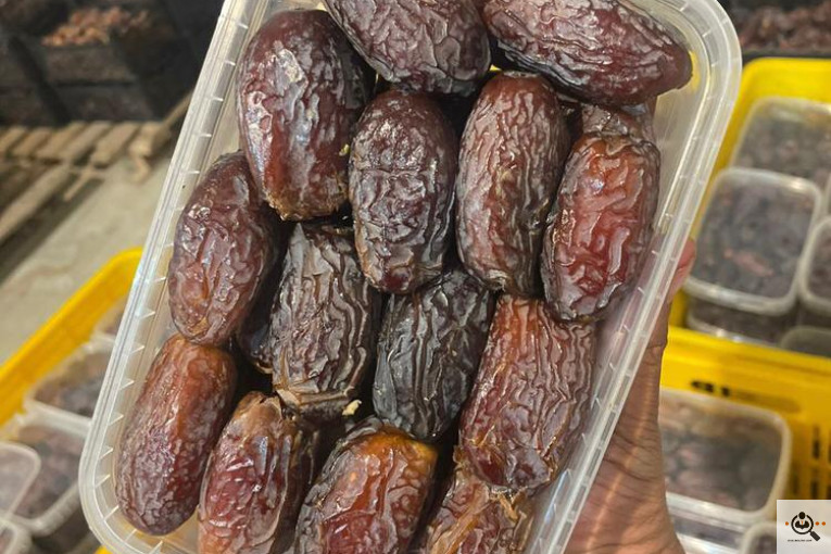 نخل و خرمای 1400 در تهران