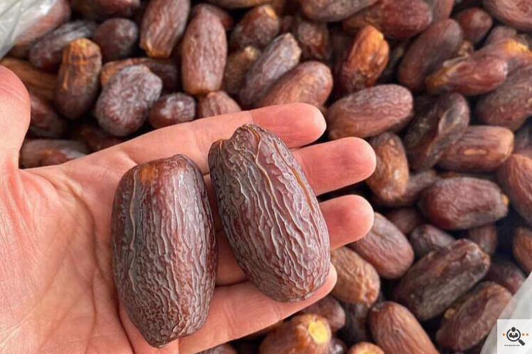 نخل و خرمای 1400 در تهران