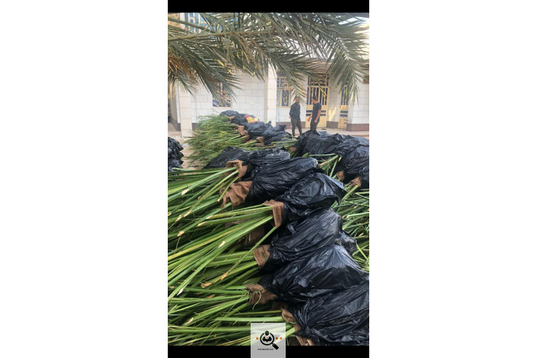 نخل و خرمای 1400 در تهران