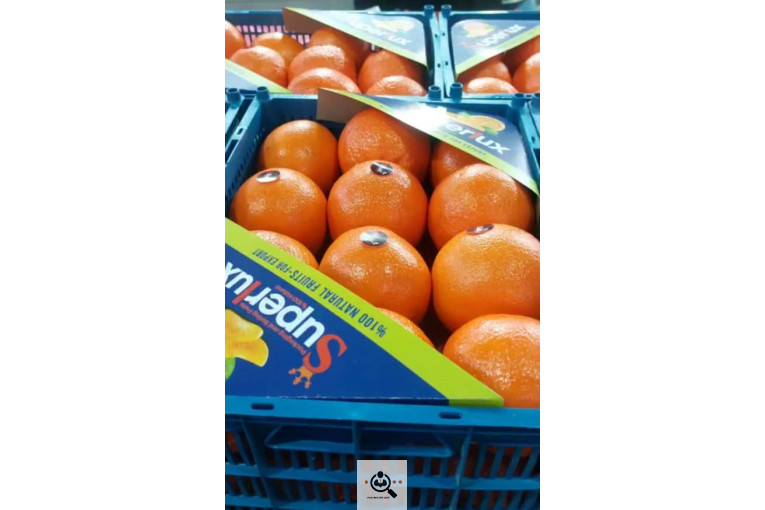 تامین و صادرات میوه کیوان قنبرلو در آذربایجان غربی