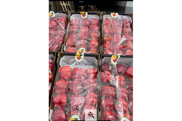 تامین و صادرات میوه کیوان قنبرلو در آذربایجان غربی