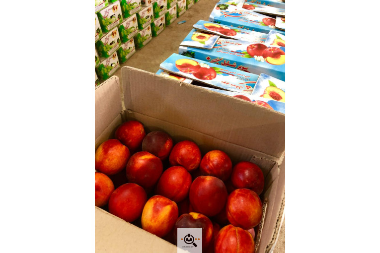 سردخانه میرزایی در آذربایجان شرقی