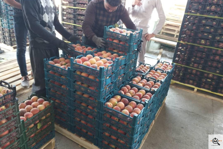 سردخانه میرزایی در آذربایجان شرقی