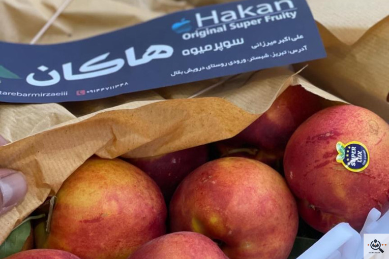 سردخانه میرزایی در آذربایجان شرقی