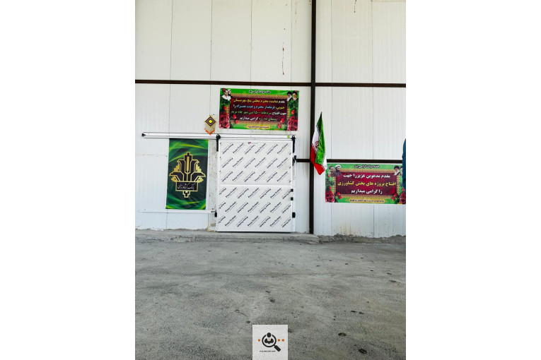 سردخانه بسته بندی سورتینگ صیفی جات کلمرزی در کهنوج