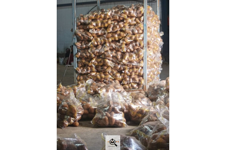 خرید و فروش سیب زمینی و پیاز صادرات پناهپوری در اصفهان