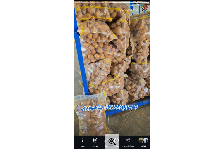 خرید و فروش سیب زمینی و پیاز صادرات پناهپوری در اصفهان