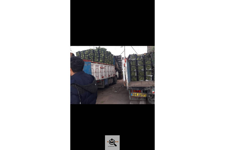 بارفروشی حیدر اصغری و پسران در مشهد