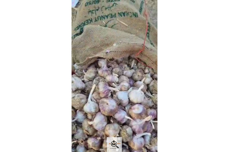بارفروشی حیدر اصغری و پسران در مشهد