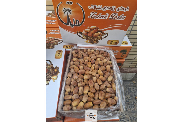 صادرات و خرید و فروش خرما نخیلات در استان فارس