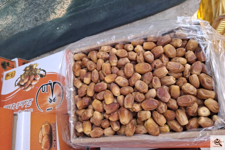 صادرات و خرید و فروش خرما نخیلات در استان فارس