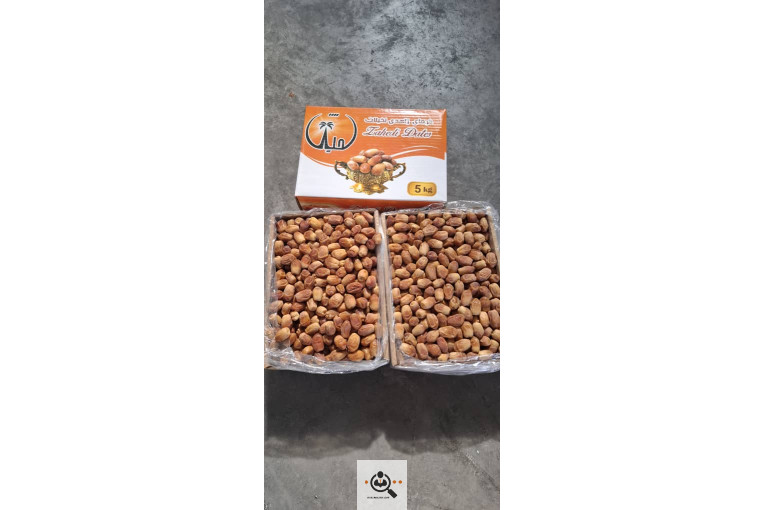 صادرات و خرید و فروش خرما نخیلات در استان فارس