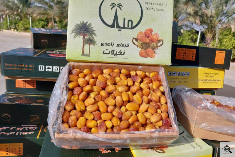 صادرات و خرید و فروش خرما نخیلات در استان فارس