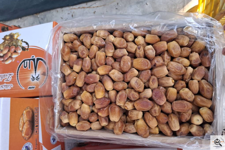 صادرات و خرید و فروش خرما نخیلات در استان فارس