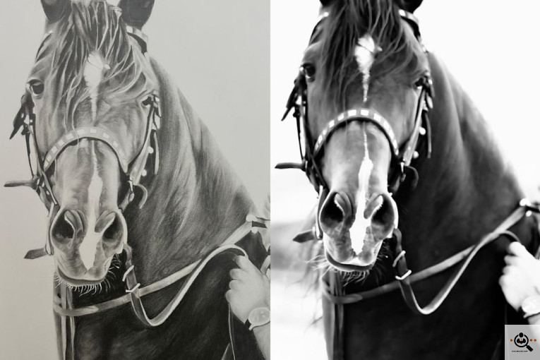 باشگاه سوارکاری فدایی هورس در فارس