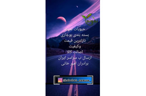 خرید و فروش صادرات حبوبات برادران میرخانی در زنجان