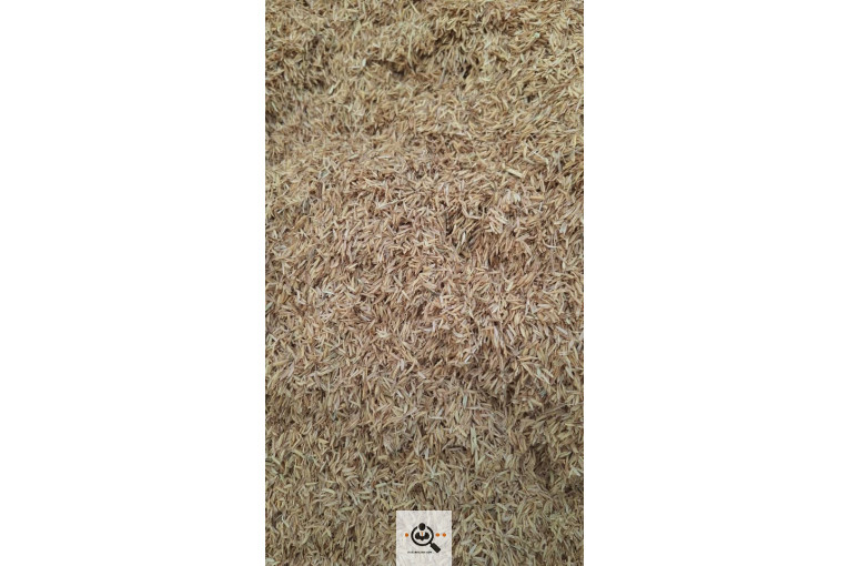 سبوس برنج و دوکوب در آمل