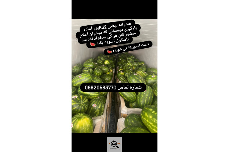هندوانه و ملون نادری در جلگه
