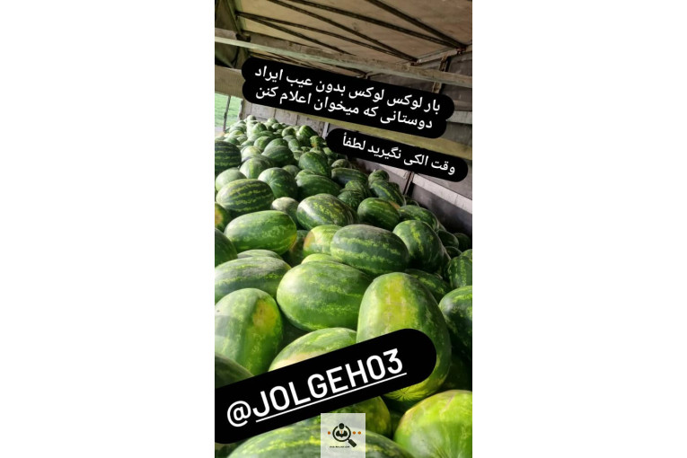 هندوانه و ملون نادری در جلگه