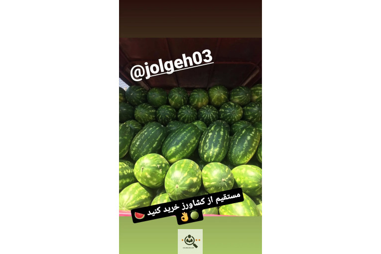 هندوانه و ملون نادری در جلگه