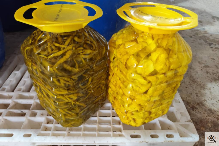 شرکت خیارشور و ترشیجات سعیدی در سنندج