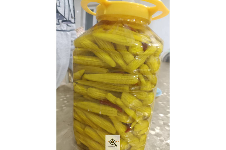 شرکت خیارشور و ترشیجات سعیدی در سنندج