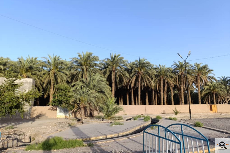 سردخانه و صنایع بسته بندی شایان در بم