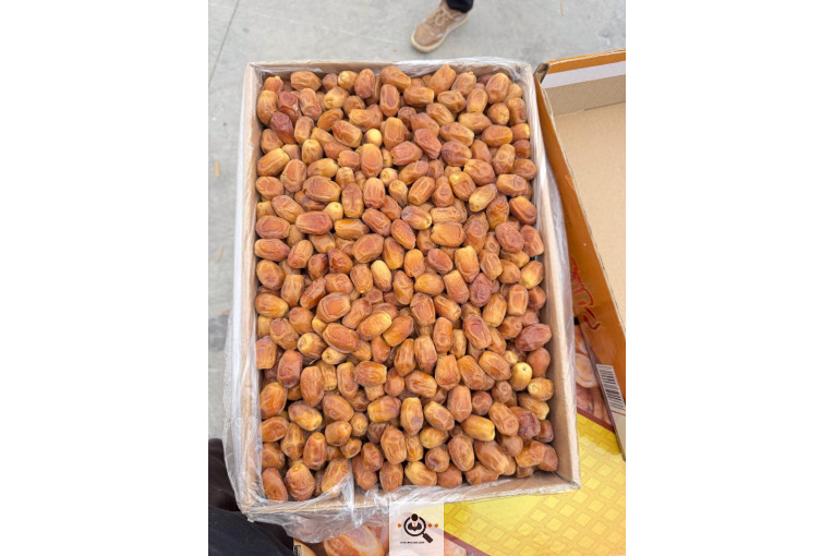 بسته بندی خرمای نخل ارم در بوشهر