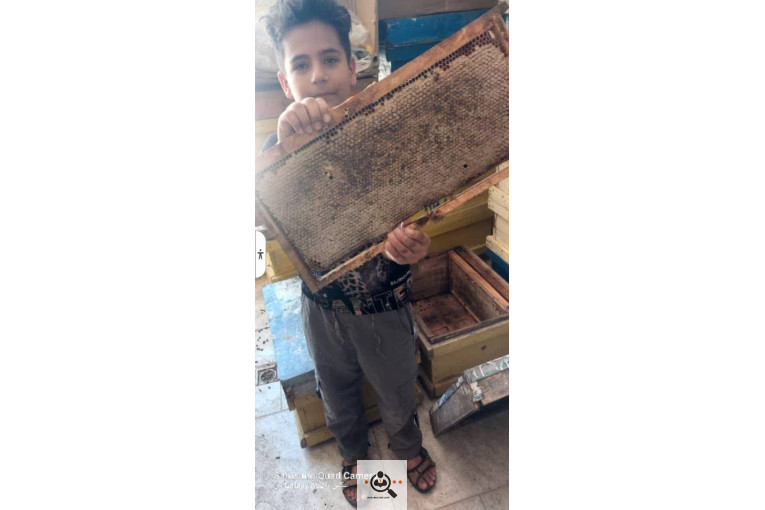فروشگاه عسل طبیعی رسول سنگین آبادی در سنندج