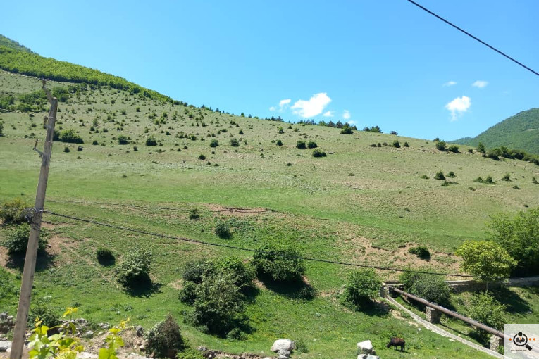 مشاور املاک آتیه گستر در کلاردشت