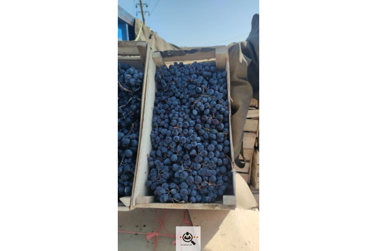 مجموعه سردشت ارگانیک در آذربایجان غربی