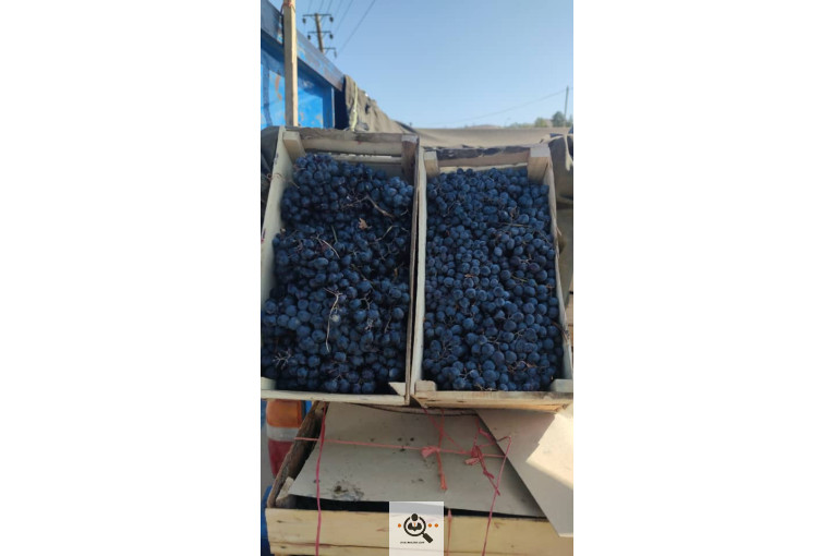 مجموعه سردشت ارگانیک در آذربایجان غربی