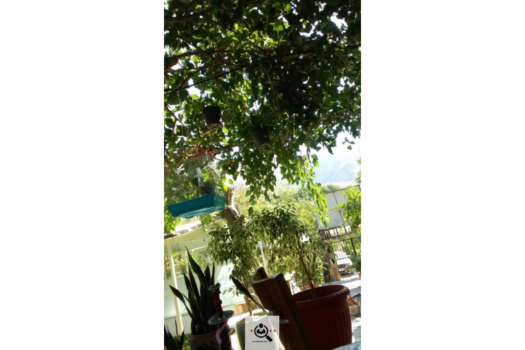 مجموعه سردشت ارگانیک در آذربایجان غربی