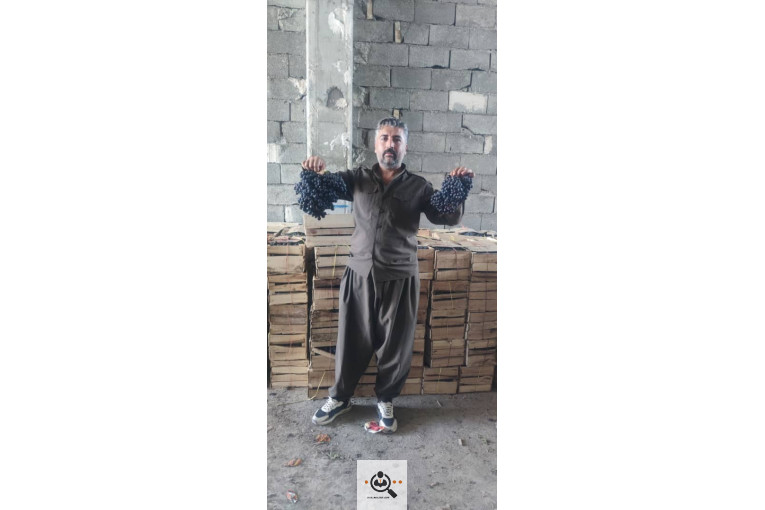 مجموعه سردشت ارگانیک در آذربایجان غربی