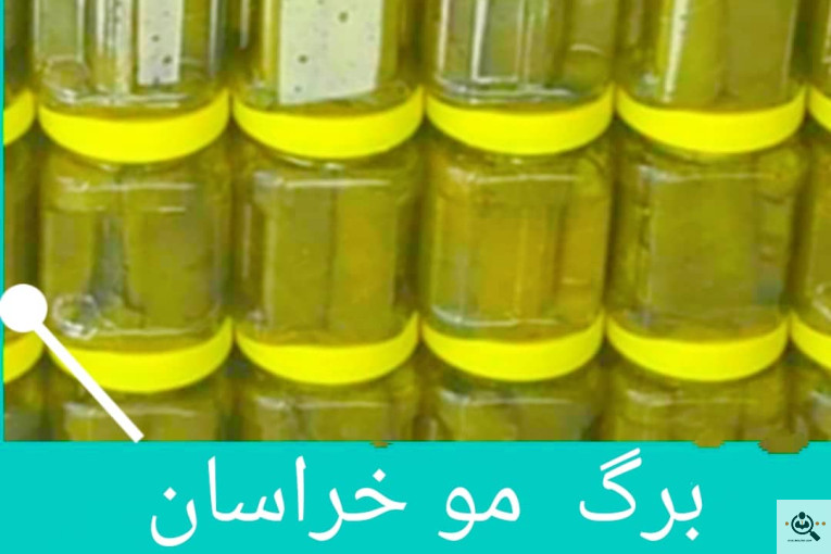 صادرات برگ مو خراسان در خراسان شمالی