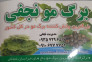 صادرات برگ مو نجفی در بجنورد