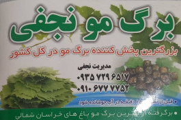 صادرات برگ مو نجفی در بجنورد