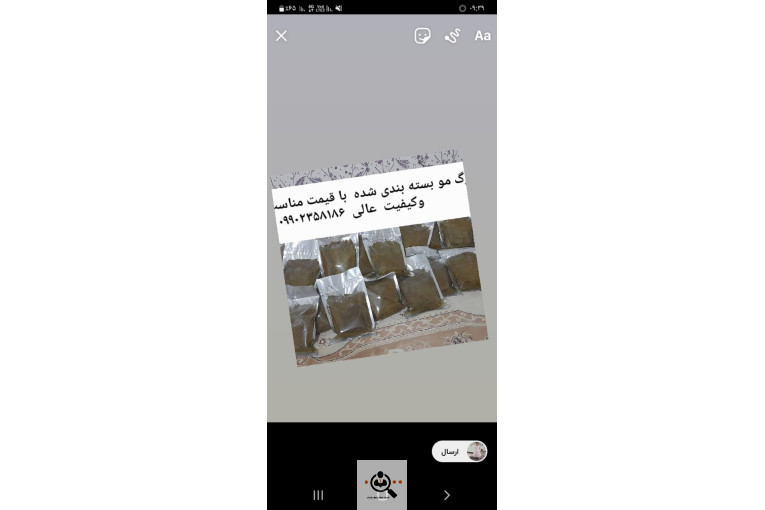صادرات برگ مو فخر الدین در بجنورد