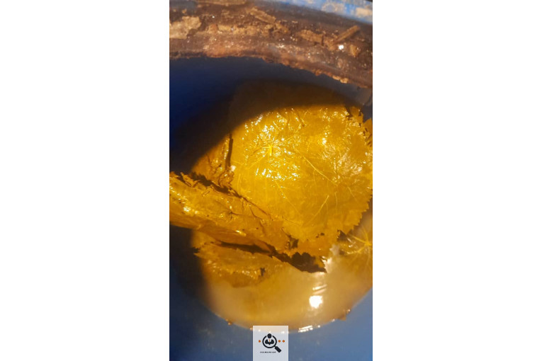 صادرات برگ مو فخر الدین در بجنورد