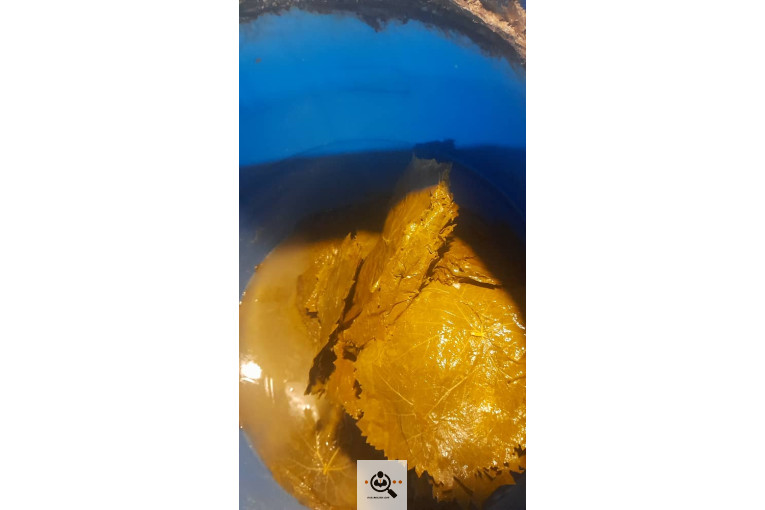 صادرات برگ مو فخر الدین در بجنورد