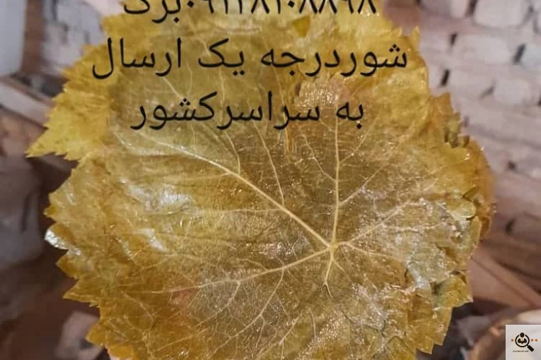 صادرات برگ مو فخر الدین در بجنورد