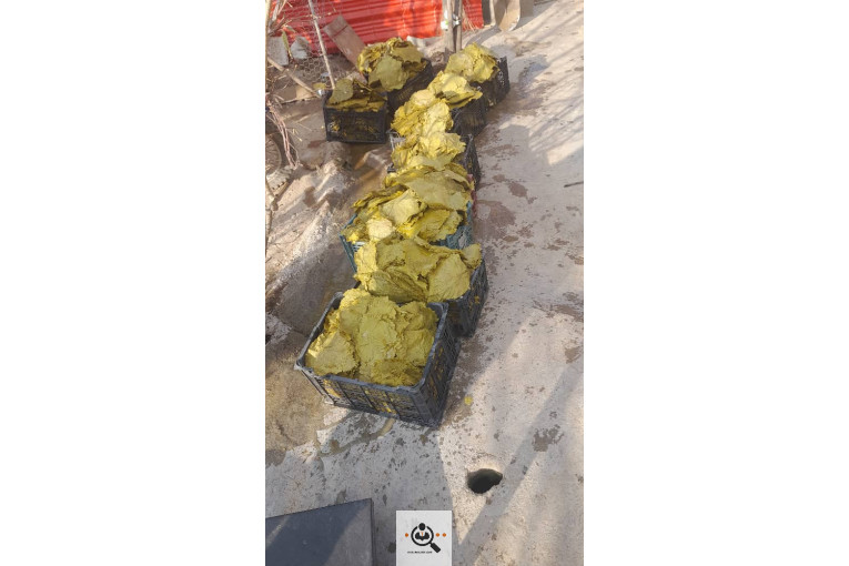 صادرات برگ مو فخر الدین در بجنورد