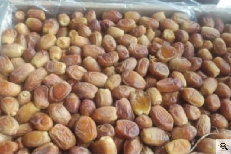خرما داردان در تهران