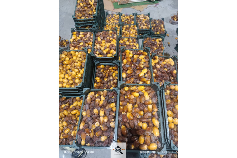خرما داردان در تهران