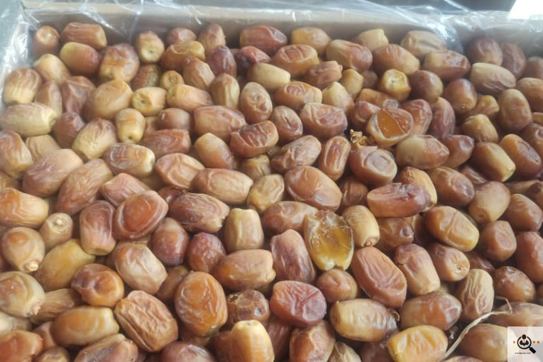 خرما داردان در تهران