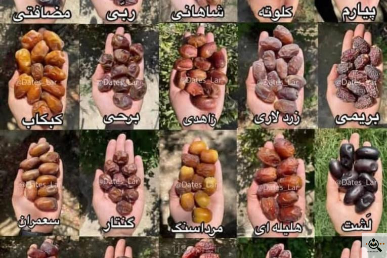 بسته بندی و پخش خرما و آجیل دکتر خرما در زنجان
