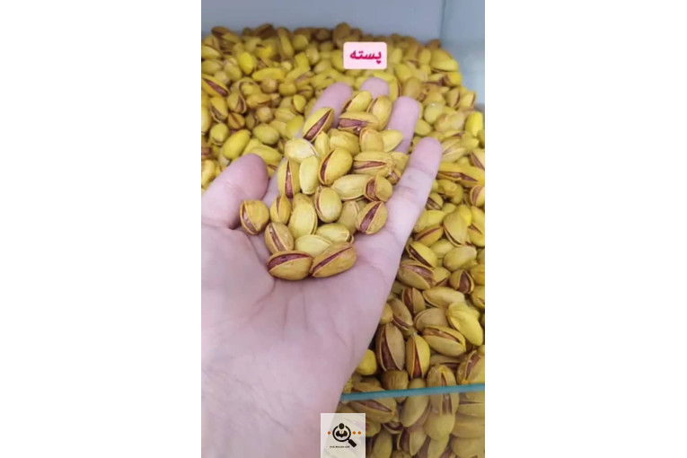 آجیل و خشکبار احمدی نیا در سقز