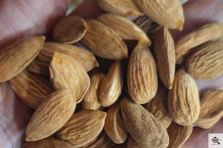 خشکبار کلاهی KOLAHI NUTS