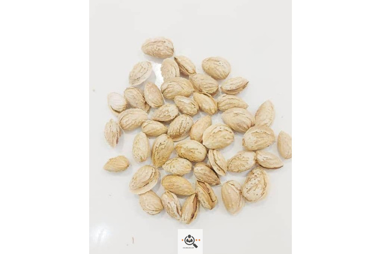 خشکبار کلاهی KOLAHI NUTS