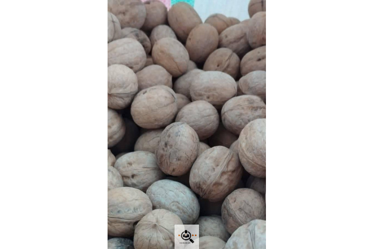 خشکبار کلاهی KOLAHI NUTS